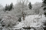 so viel Schnee, Januar 2010