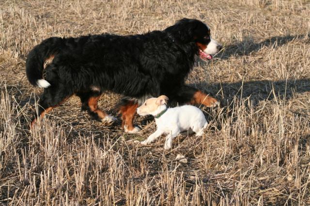 Linus und Nele