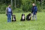 Ewald, Mena. Linus, Kosmo und Rolf