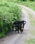 16.05.2010Sue und Linus