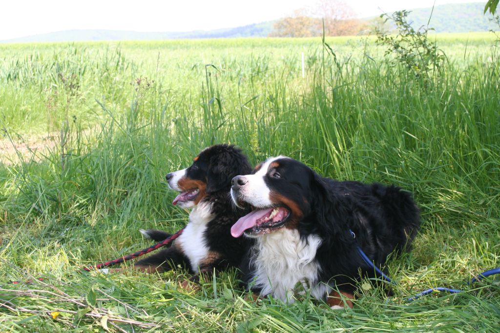 Sue und Linus sind müde vom langen Wandern