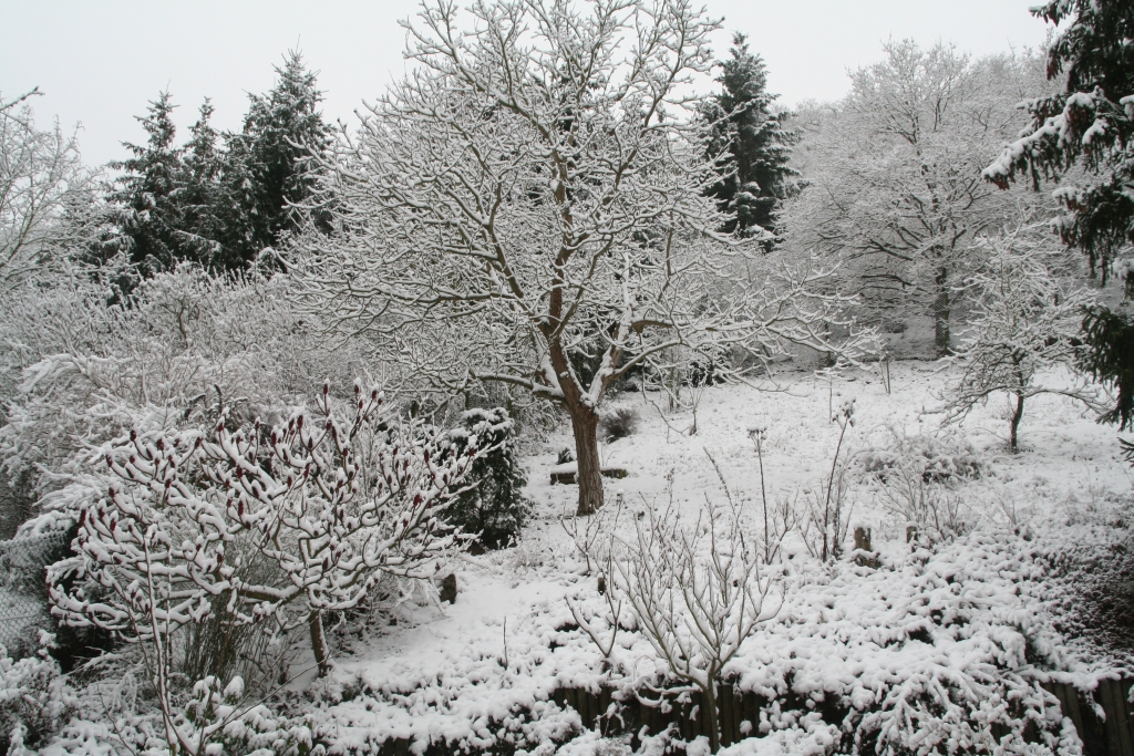 so viel Schnee, Januar 2010