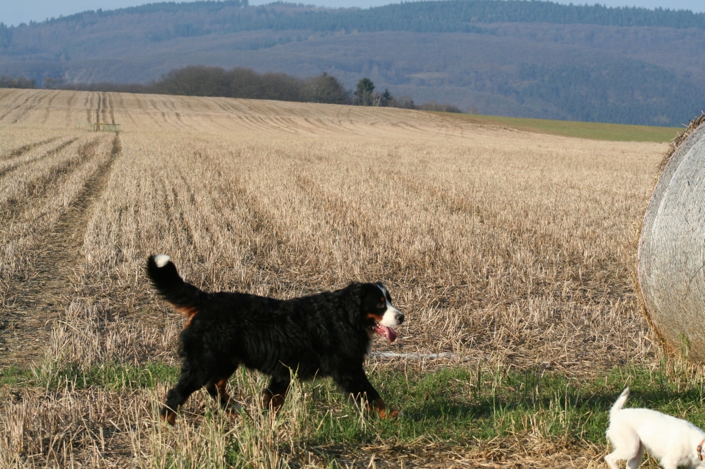 Linus und Alish