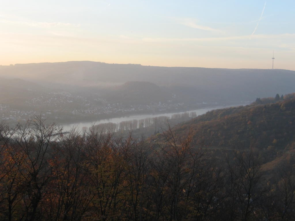 Rheinsteig Blick nach Rhens