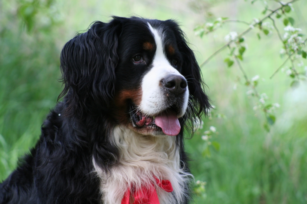 7. Geburtstag von Linus am 15.04.2009