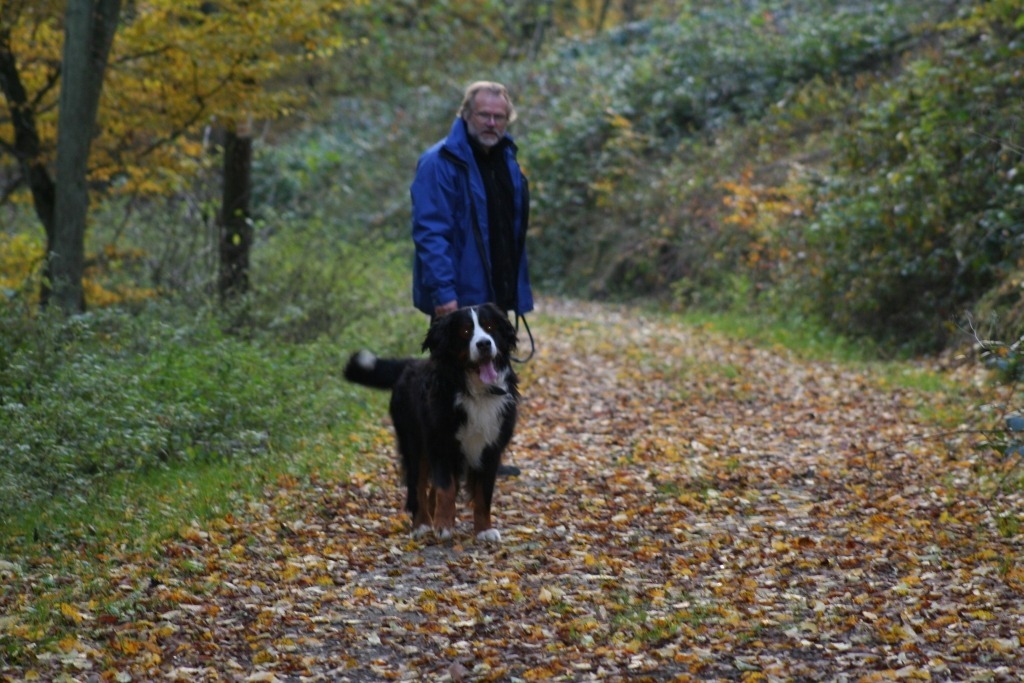 Herbstspaziergang