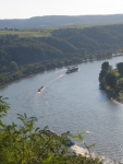 Blick vom Rheinsteig aufs Ritt vor Osterspai